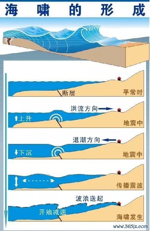 浙江上海海啸警报拔除、台湾东部沿岸仍受影响，遇灾害如何避险